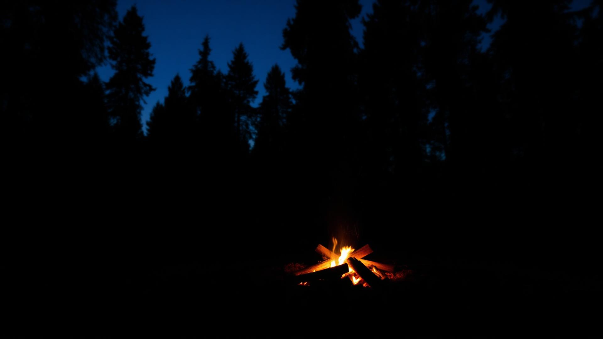 A small campfire at dusk